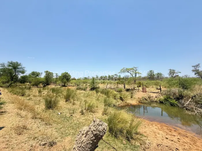 Farm/Plot for Sale in Nyamandlovu, Bulawayo
