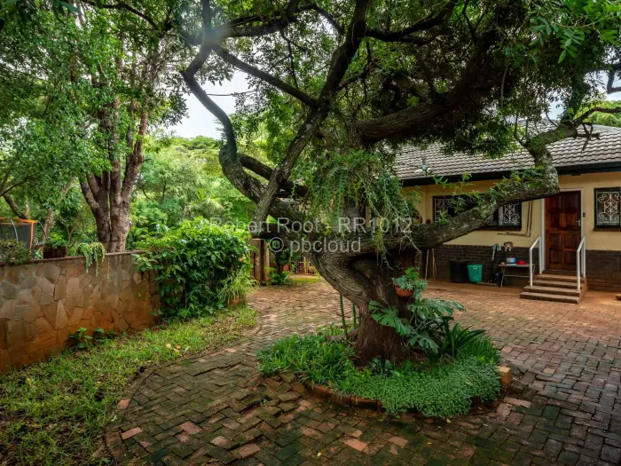 5 Bedroom House for Sale in Quinnington, Harare