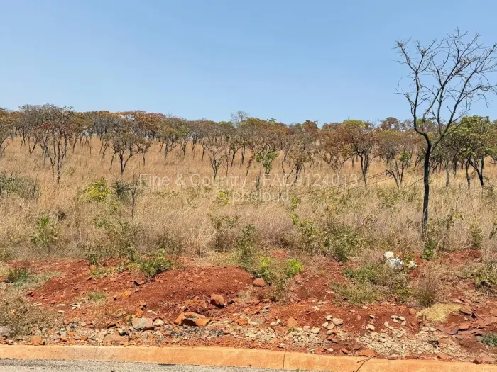 Land for Sale in Cromlet, Arcturus