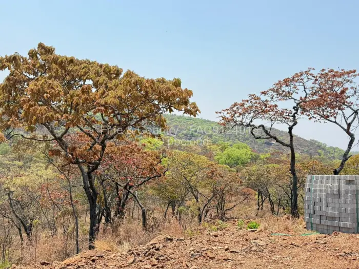 Land for Sale in Cromlet, Arcturus