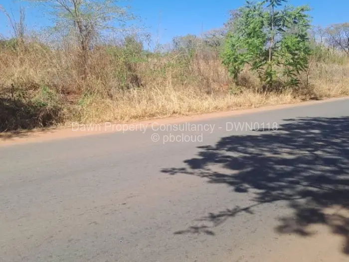 Farm/Plot for Sale in Borrowdale, Harare