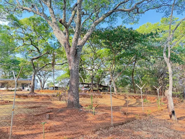 Farm/Plot for Sale in Borrowdale, Harare