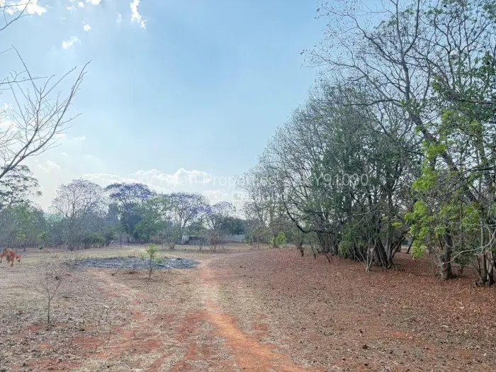 Farm/Plot for Sale in Borrowdale, Harare