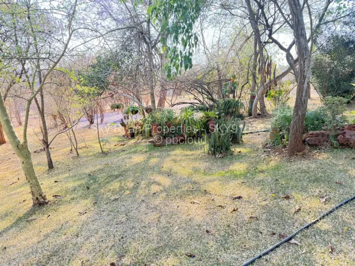 Farm/Plot for Sale in Borrowdale, Harare