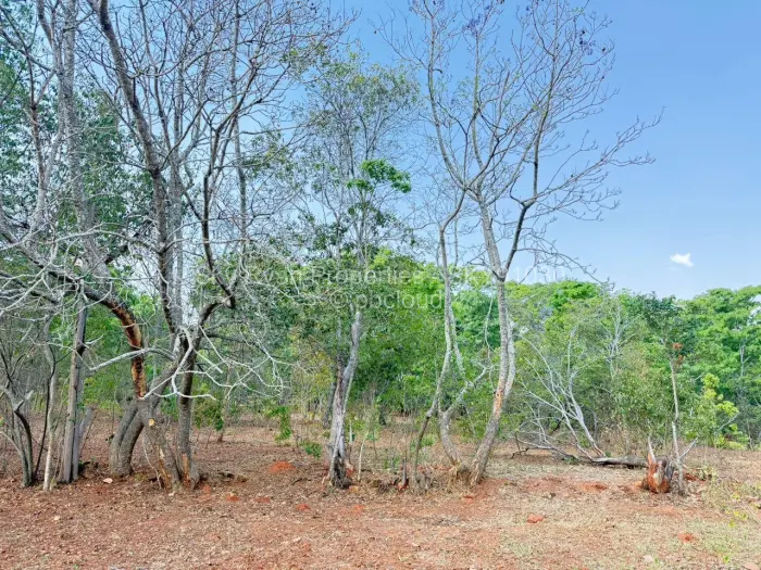 Farm/Plot for Sale in Borrowdale, Harare