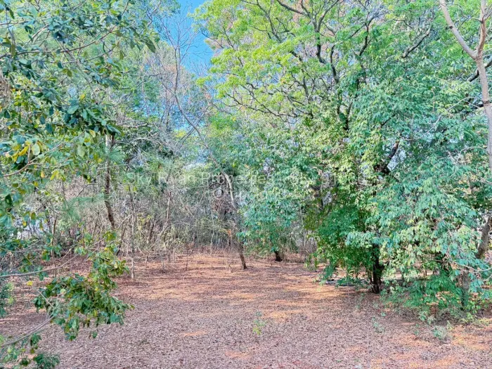 Farm/Plot for Sale in Borrowdale, Harare