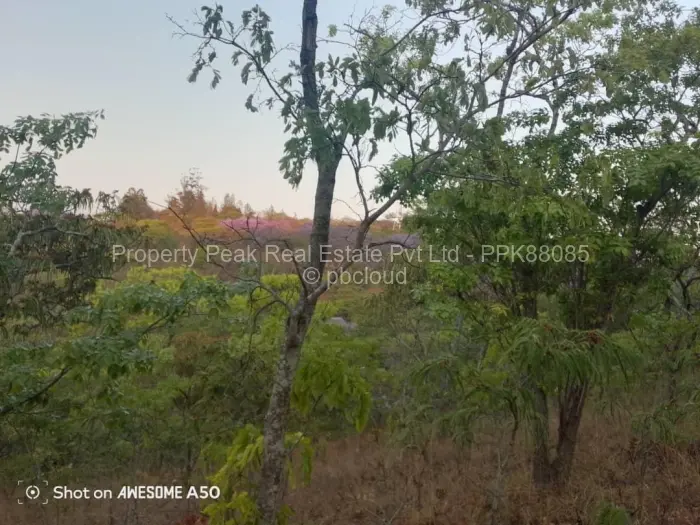 Farm for Sale in Umwinsidale, Harare
