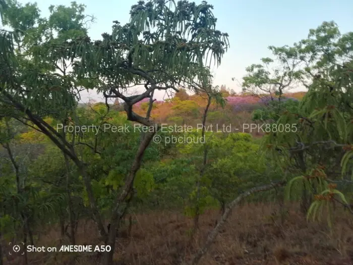 Farm for Sale in Umwinsidale, Harare