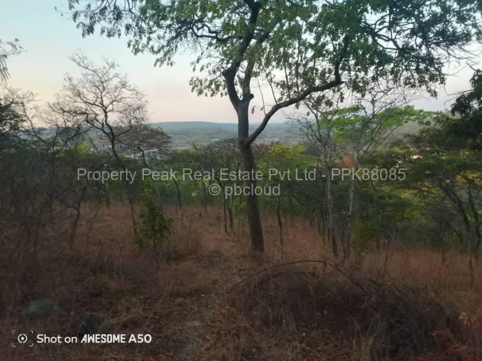 Farm for Sale in Umwinsidale, Harare