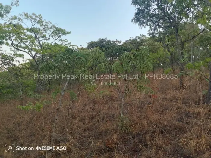 Farm for Sale in Umwinsidale, Harare