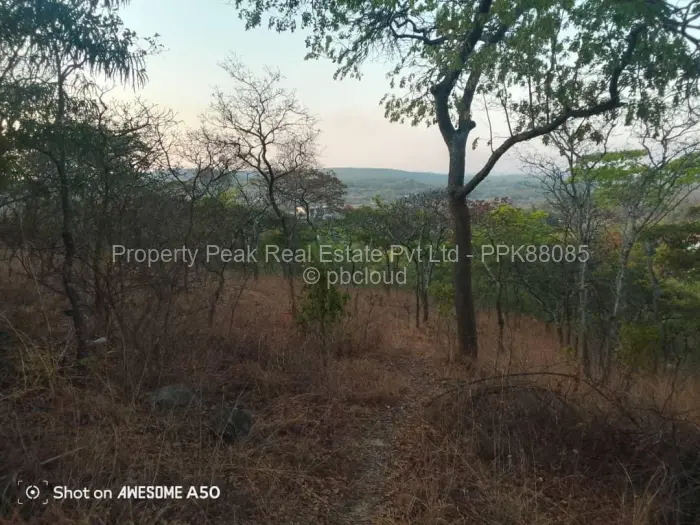 Farm for Sale in Umwinsidale, Harare