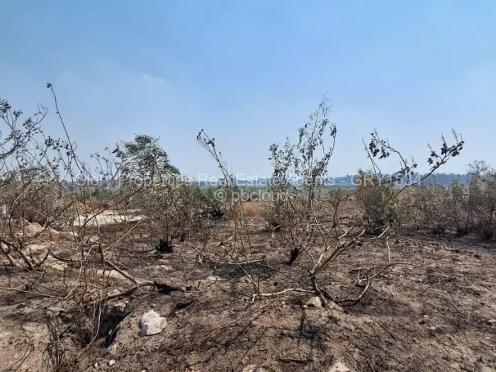 Residential Stand for Sale in Erasmus Park, Ruwa