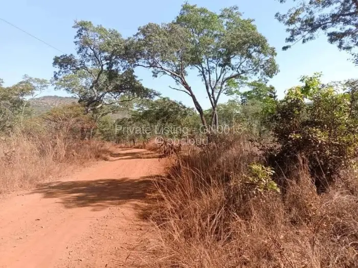 Farm/Plot for Sale in Arcturus, Arcturus