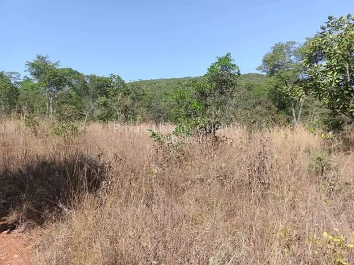 Farm/Plot for Sale in Arcturus, Arcturus