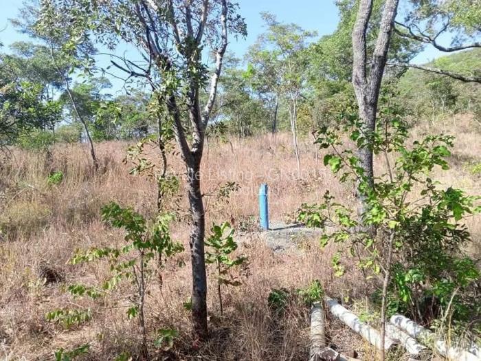 Farm/Plot for Sale in Arcturus, Arcturus