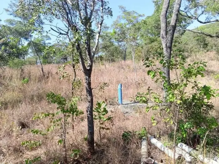 Farm/Plot for Sale in Arcturus, Arcturus