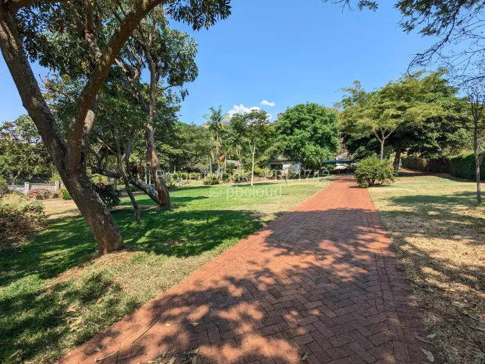 4 Bedroom House to Rent in Borrowdale Brooke