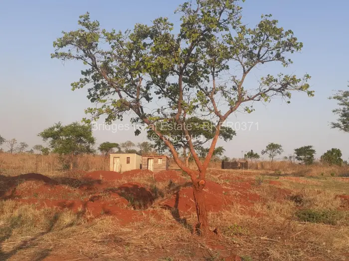 Residential Stand for Sale in Crowhill Views, Harare