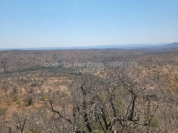 Commercial Stand for Sale in Esigodini, Umzingwane