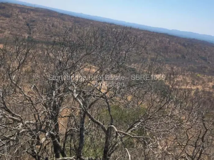 Commercial Stand for Sale in Esigodini, Umzingwane