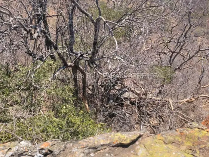 Commercial Stand for Sale in Esigodini, Umzingwane