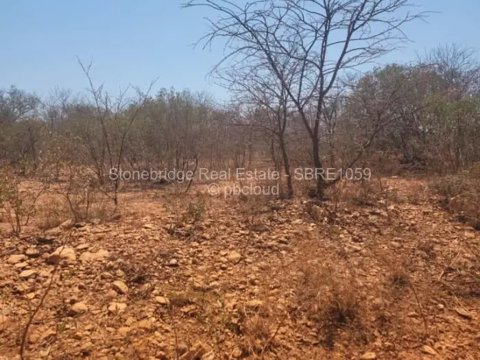 Commercial Stand for Sale in Esigodini, Umzingwane