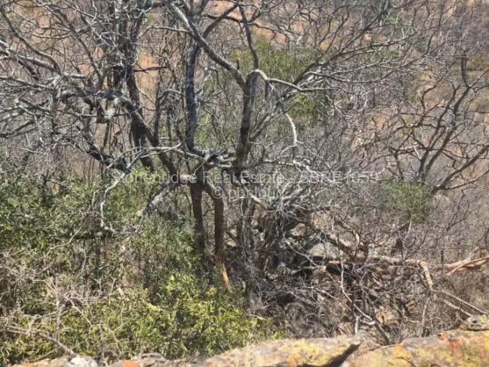 Commercial Stand for Sale in Esigodini, Umzingwane