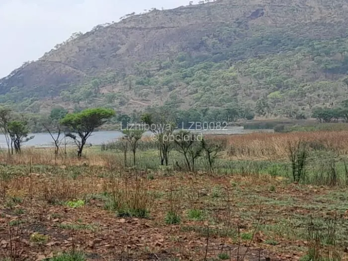 Farm/Plot for Sale in Arcturus, Arcturus