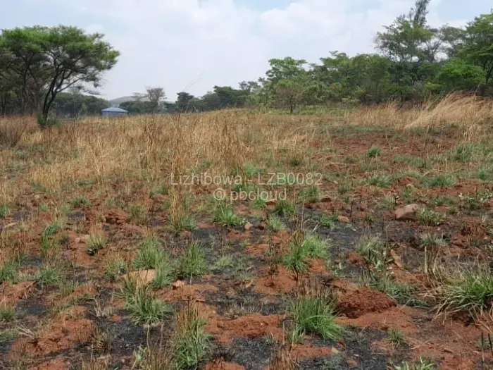 Farm/Plot for Sale in Arcturus, Arcturus