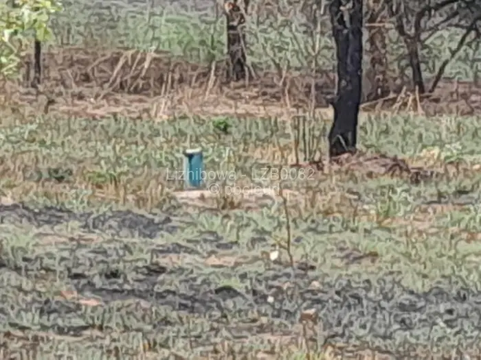 Farm/Plot for Sale in Arcturus, Arcturus