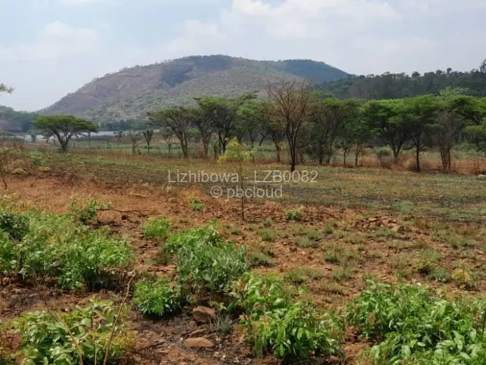 Farm/Plot for Sale in Arcturus, Arcturus