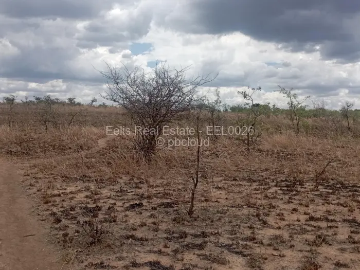 Farm/Plot for Sale in Senga, Gweru