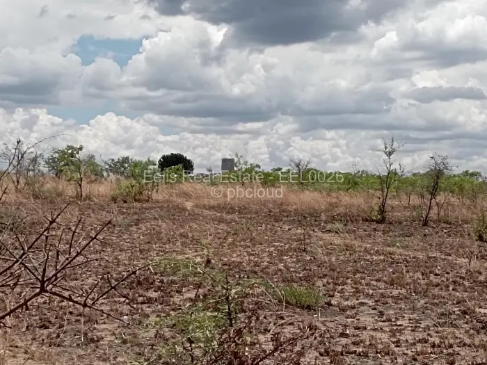 Farm/Plot for Sale in Senga, Gweru