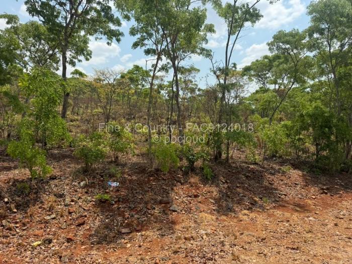 Farm/Plot for Sale in Arcturus, Arcturus