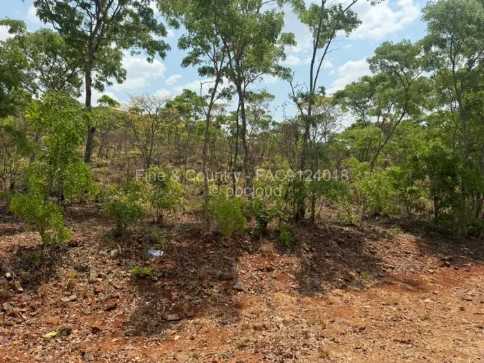 Farm/Plot for Sale in Arcturus, Arcturus