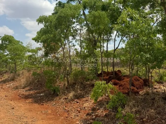 Farm/Plot for Sale in Arcturus, Arcturus