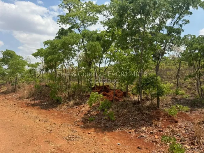 Farm/Plot for Sale in Arcturus, Arcturus