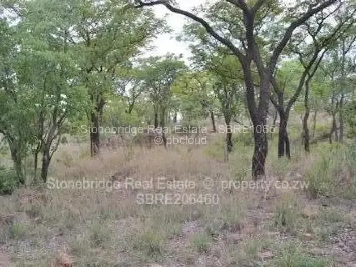 Farm/Plot for Sale in Fortunes Gate, Bulawayo