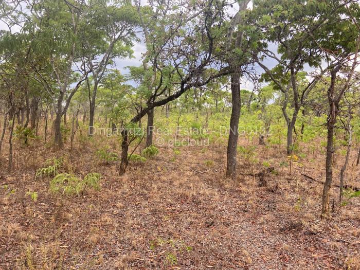 Farm/Plot for Sale in Marondera, Marondera