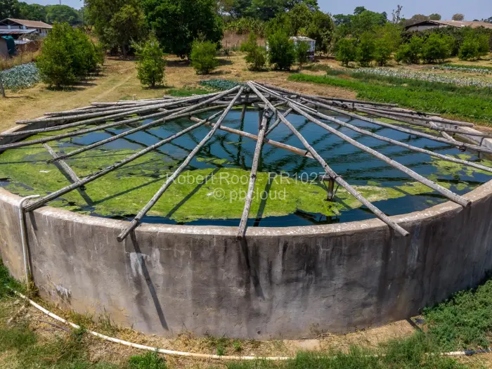 Farm/Plot for Sale in Ruwa, Ruwa