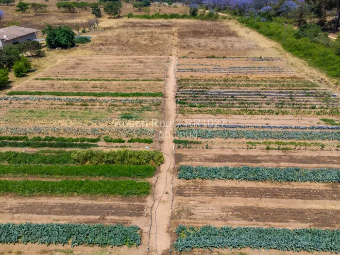 Farm/Plot for Sale in Ruwa, Ruwa