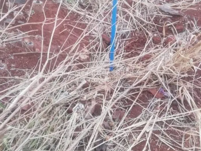 Residential Stand for Sale in Westgate, Harare