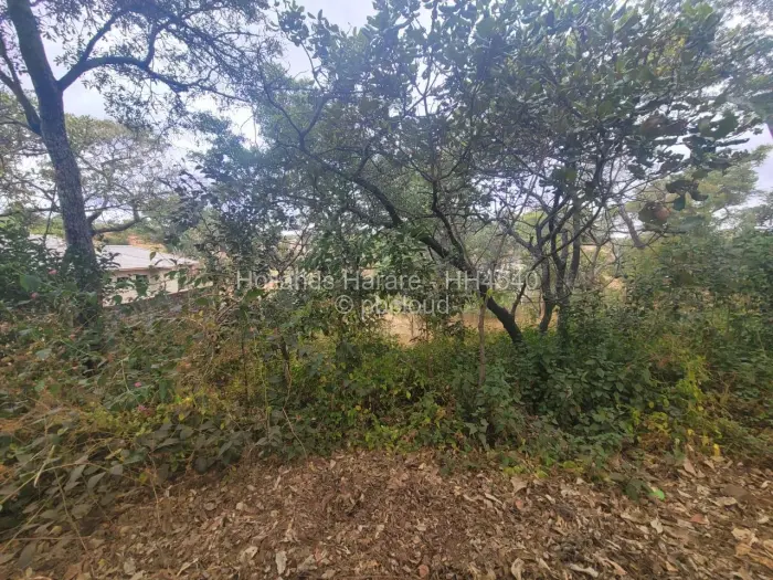 Residential Stand for Sale in Shawasha Hills, Harare