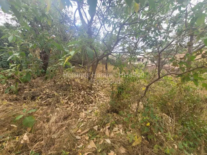 Residential Stand for Sale in Shawasha Hills, Harare