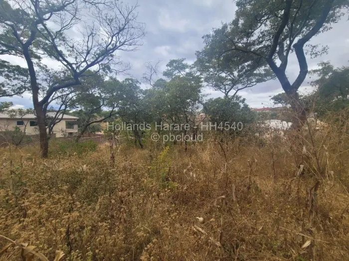 Residential Stand for Sale in Shawasha Hills, Harare