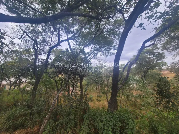 Residential Stand for Sale in Shawasha Hills, Harare