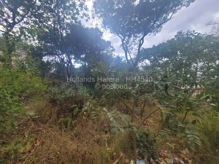 Residential Stand for Sale in Shawasha Hills, Harare