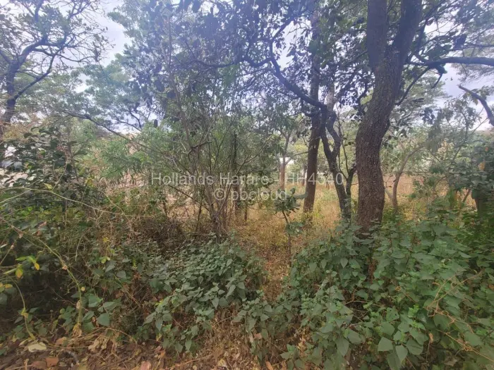 Residential Stand for Sale in Shawasha Hills, Harare