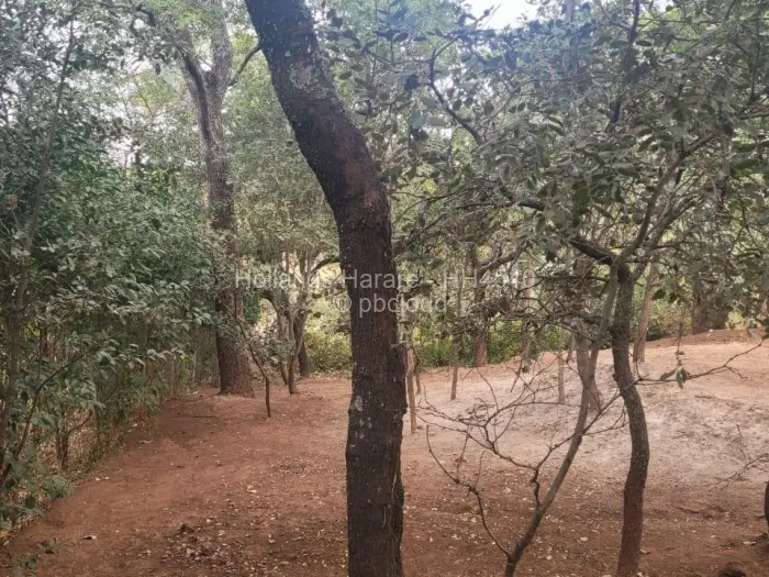 Residential Stand for Sale in Shawasha Hills, Harare