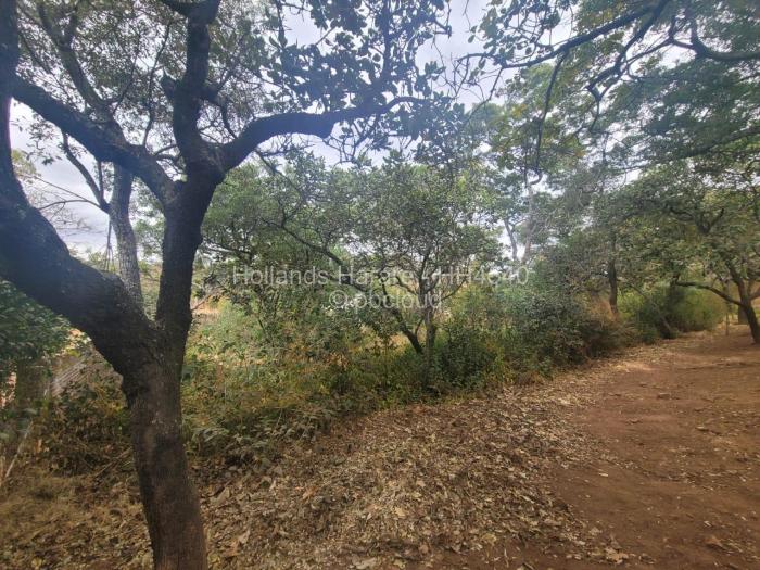 Residential Stand for Sale in Shawasha Hills, Harare